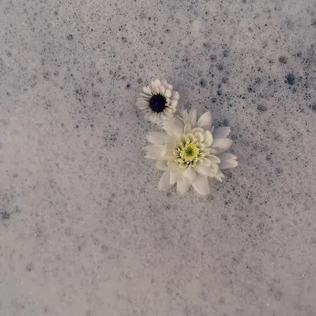 Feriehus Schwimmende Usedom